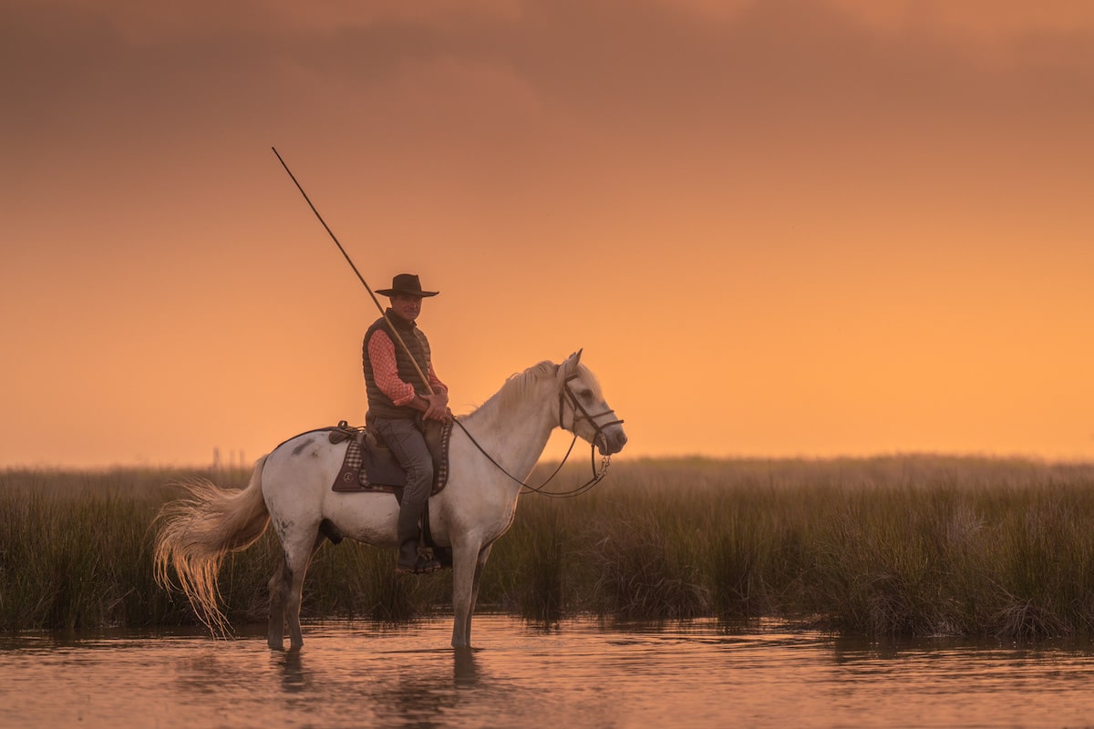 Camargue Horses by Albert Dros