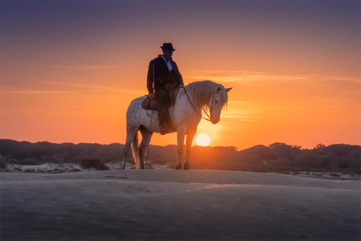 Camargue Horses by Albert Dros