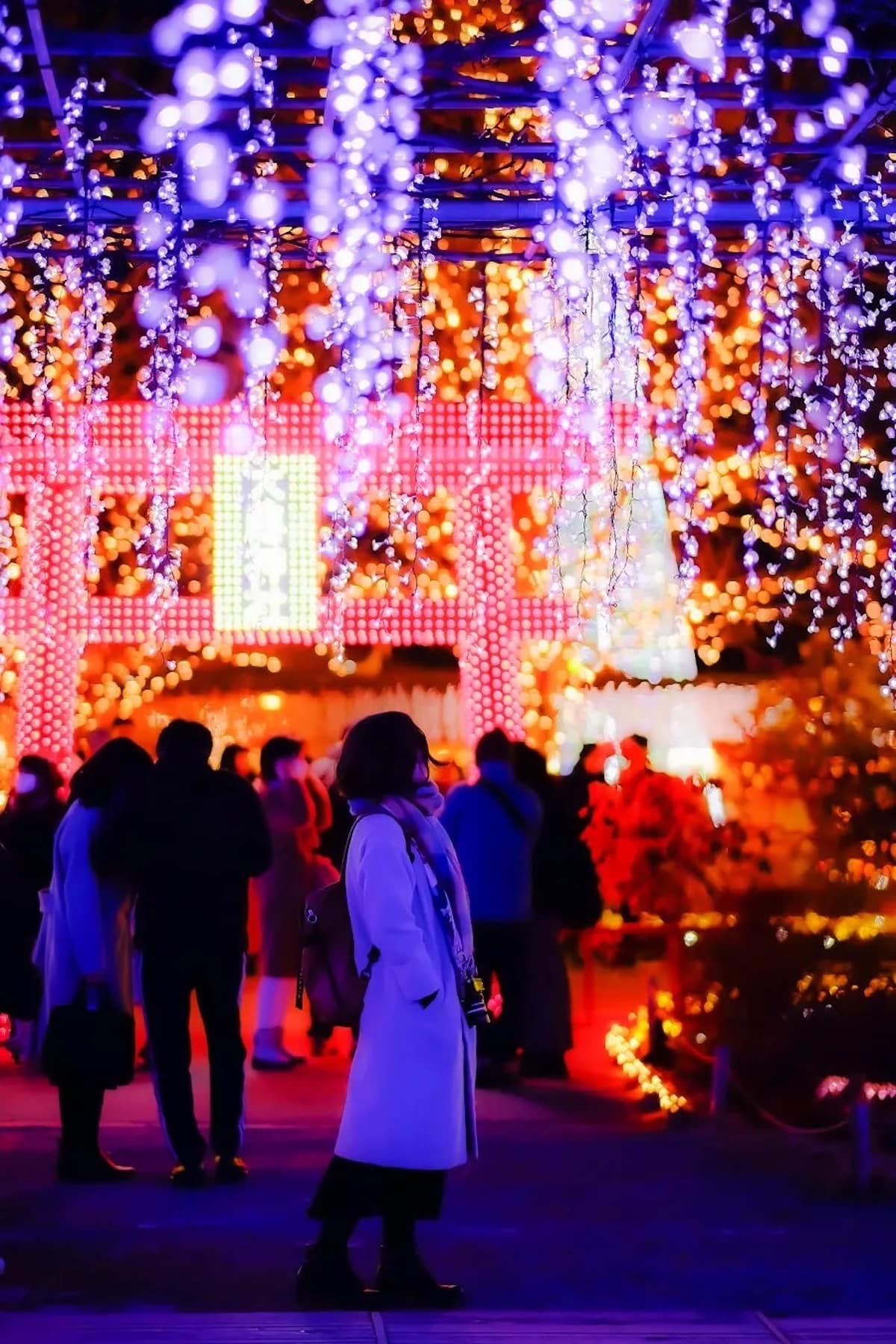 Ashikaga Flower Park Installation