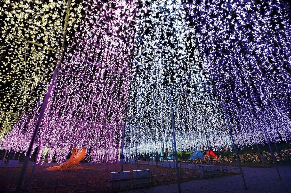 Ashikaga Flower Park Installation