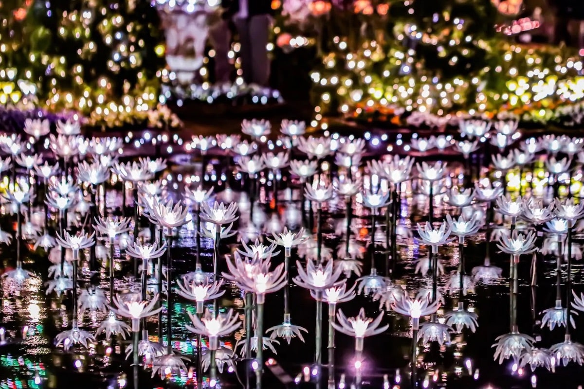 Ashikaga Flower Park Installation