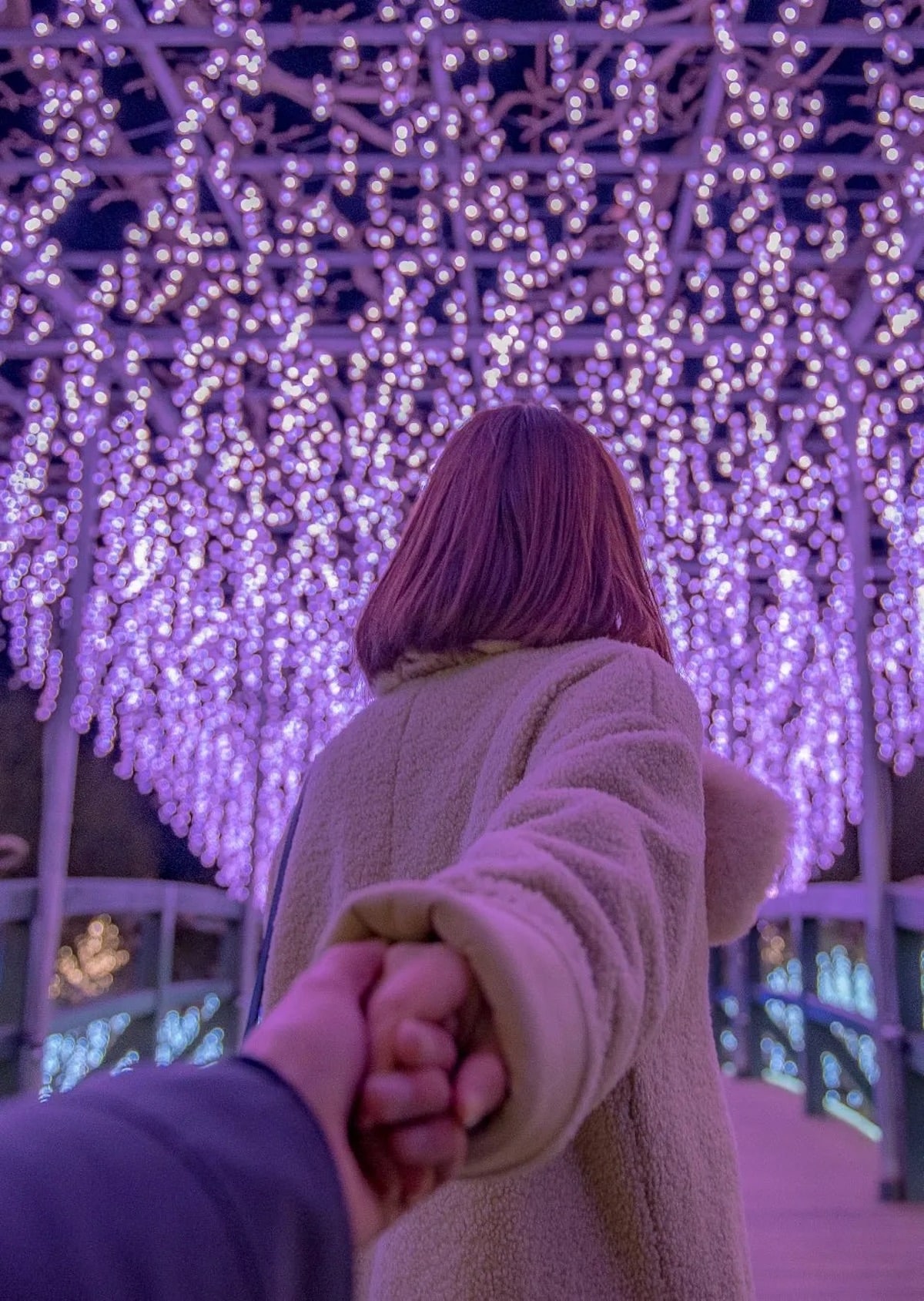 Ashikaga Flower Park Installation