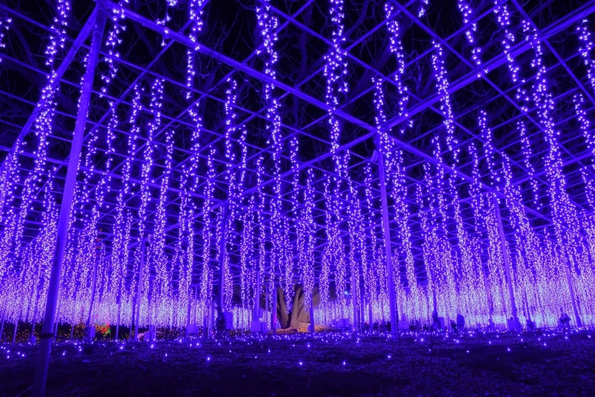 Ashikaga Flower Park Installation