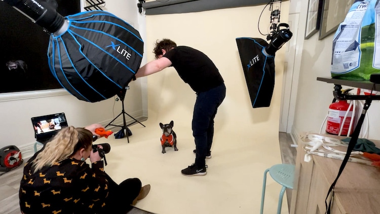 Pet Photograph in a Studio Setting