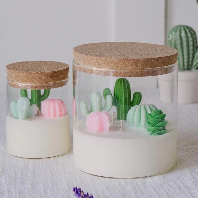 Cacti and Succulent Terrarium Candle