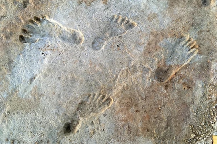 Reassessment of Human Footprints Indicates Humans May Have Lived in Ice Age America