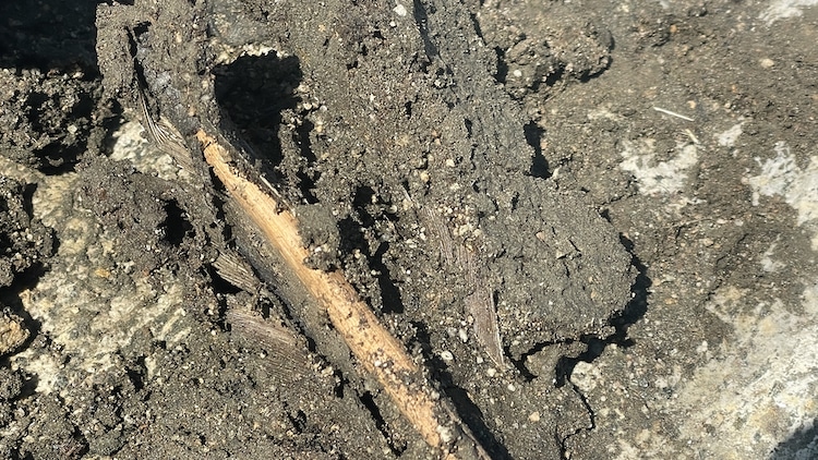 Bronze Age Arrow Discovered on Glacier in Norway