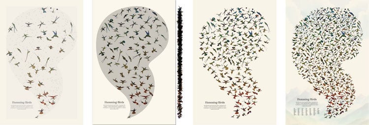 John Gould's Hummingbirds Poster