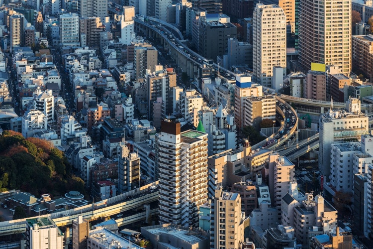 Tokyo from above