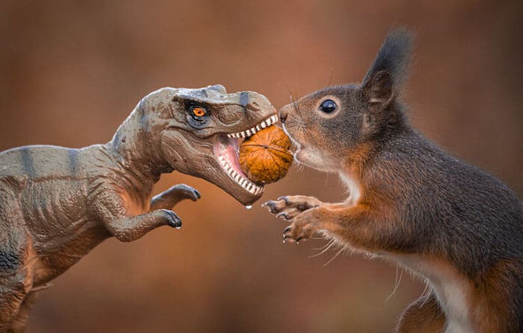 Squirrel and Dinosaur Photos by Niki Colemont