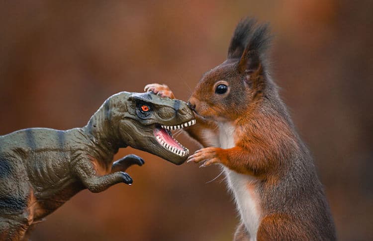 Squirrel and Dinosaur Photos by Niki Colemont