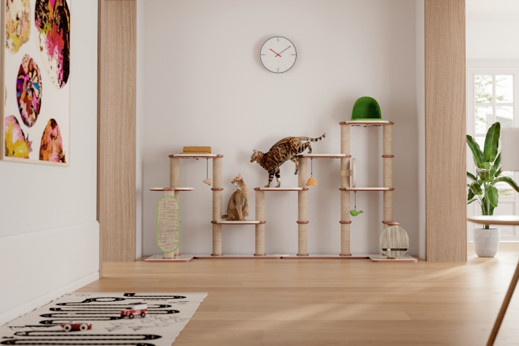 Petlibro Infinity DIY Cat Tree