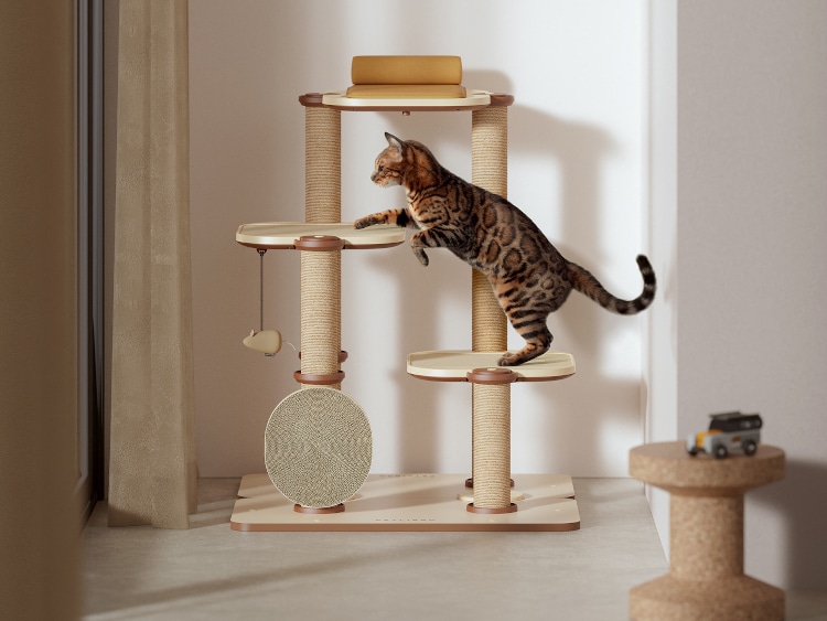 Petlibro Infinity DIY Cat Tree