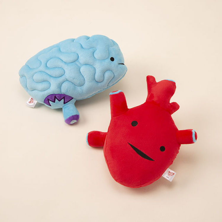 Plush Organs